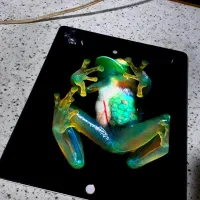 تبلت ایپد اپل۱۲ اینچ سری۴ سالم|تبلت|تهران, تهرانپارس غربی|دیوار