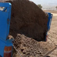 کود حیوانی پشگل|خدمات باغبانی و درختکاری|کوهدشت, |دیوار