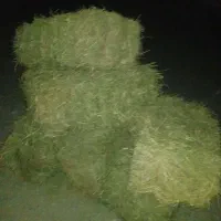 بیده پرس