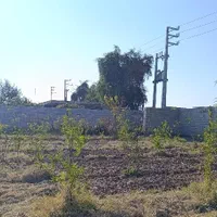 پیش فروش/باغچه برق/آب تصفیه/کوچه پردیس بنجعفر|پیش‌فروش املاک|دزفول, |دیوار