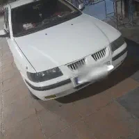 فروش سمندسفید89