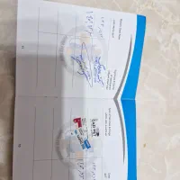 سامویر   نر ۲ ساله اسم بلفی  شناسنامه دار|سگ|سیراف, |دیوار
