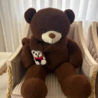 عروسک|اسباب‌‌بازی|نظرآباد, نظرآباد|دیوار