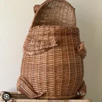 قورباغه حصیری و مجسمه چوبی