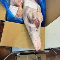 درخواست تامین کننده عمده گوشت منجمدجهت ارگان‌معتبر