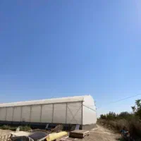 باغ،گلخانه،زمین، گلگون زرنان پایین|فروش دفتر صنعتی، کشاورزی، تجاری|قدس, شهرک صنعتی گلگون|دیوار