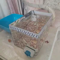 آکواریوم شیشه خم همراه ۲۰ ماهی و تزئینات|ماهی|تهران, علی‌آباد|دیوار