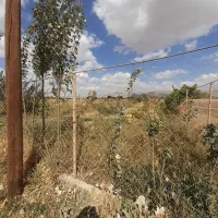 زمین ۱۰۰۰ متر سند دار.|فروش دفتر صنعتی، کشاورزی، تجاری|صائین قلعه, |دیوار