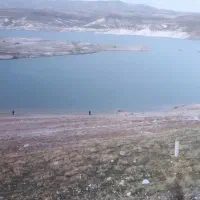 وانت آریسان