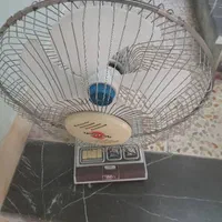پنکه پارس خزرقدیم