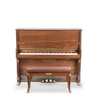 پیانو آکوستیک فقط 29900|پیانو، کیبورد، آکاردئون|مشهد, امیر|دیوار