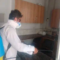 از بین بردن موش ،مارمولک،سوسک ، مار و سمپاشی|خدمات نظافت|سنندج, |دیوار