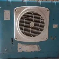 کولرابی کوچک درحدنو