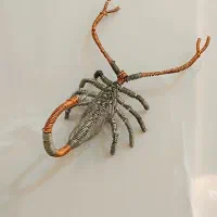 مجسمه مفتولی شاه عقرب|مجسمه، تندیس، ماکت|محمدشهر, ولدآباد|دیوار