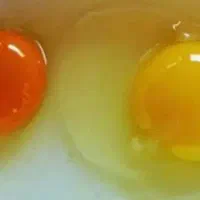 تخم مرغ محلی