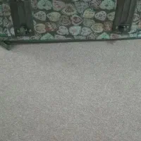 چمدان|کیف، کفش، کمربند|جهرم, |دیوار