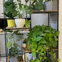 دکور فلزی، قفسه های تمام فلز