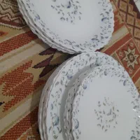 ظرف اگروپال