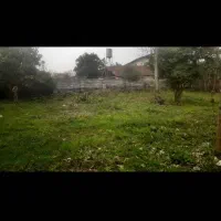 اجاره زمین باغی برای گلکاری و پرورش گل|اجارهٔ دفتر صنعتی، کشاورزی، تجاری|چابکسر, |دیوار