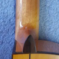 گیتار فلامنکو کوردوبا پیکاپدار|گیتار، بیس، امپلیفایر|تهران, سعادتآباد|دیوار