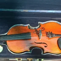 ویولن تی اف 00800