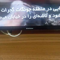 تلوزیون|تلویزیون و پروژکتور|یزد, |دیوار