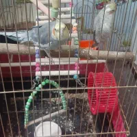 بشرط حرف زدن باتمام لوازم بدون تخفیف