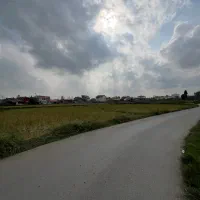 زمین سند دار|فروش زمین و ملک کلنگی|شفت, |دیوار