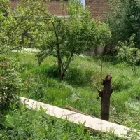 560-متر-زمین-فروشی