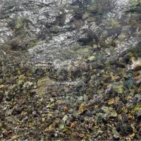 فشم/آپارتمان /نقدی تهاتر|فروش آپارتمان|فشم, |دیوار