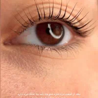 خدمات و آموزش تخصصی اکستنشن مژه لیفت و لمینت|خدمات آموزشی|مشهد, طلاب|دیوار