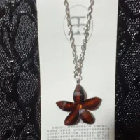 گردنبند و گوشواره|بدلیجات|بندرعباس, |دیوار