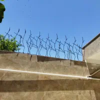 تولیدی حفاظ شاخ گوزنی نیزه ای بوته ای میلگردی|خدمات پیشه و مهارت|مشهد, حضرت حجت|دیوار