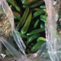 خیار تازه نیشابور