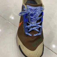 کفش نایک پگاسوس تریل گورتکس|کیف، کفش، کمربند|ایزدشهر, |دیوار