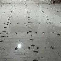 کاشیکار‌ماهر