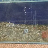 آکواریوم فروش فوری