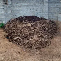 کود حیوانی (چور)