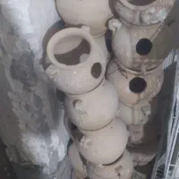 کوزه لونه مرغ عشق مرغ عشق و فنچ