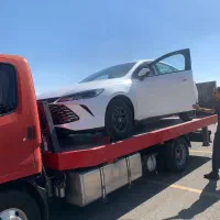بی وای دی چین ال