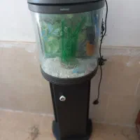 آکواریوم ماهیران پایه دار