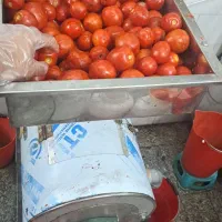 آبلیمو و آبغوره رب  گوجه گیری و سبزی خردکنی|خوردنی و آشامیدنی|اصفهان, باتون|دیوار