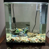 اکواریوم شیشه خم