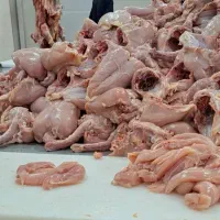 ران مرغ . ران و سردست گوساله|خدمات پذیرایی، مراسم|شیراز, شهرک صنعتی شیراز|دیوار