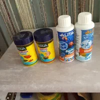 آکواریوم|ماهی|سنندج, |دیوار