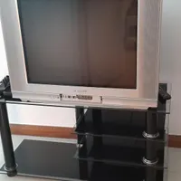 تلویزیون