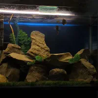 آکواریوم با تمام تجهیزات