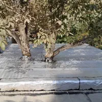 نصب ایزوگام درجه یک دلیجان با ضمانت درتهران وحومه|خدمات پیشه و مهارت|تهران, بازار|دیوار