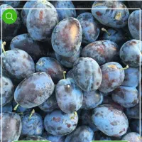الو هسه ای پوست میکنم