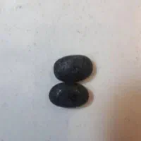 مهره اصل